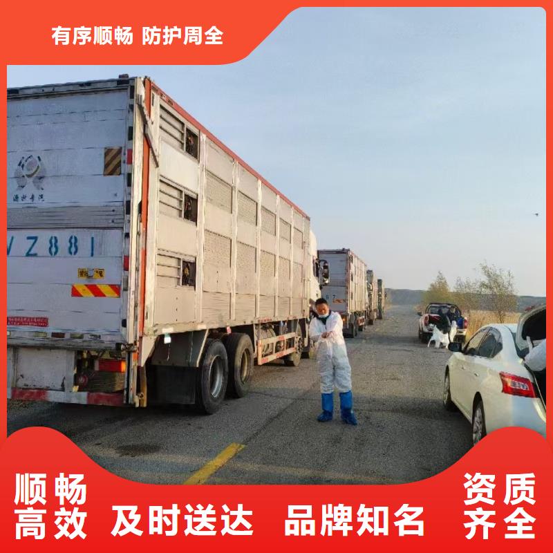 宿迁到牲畜运输品质卓越