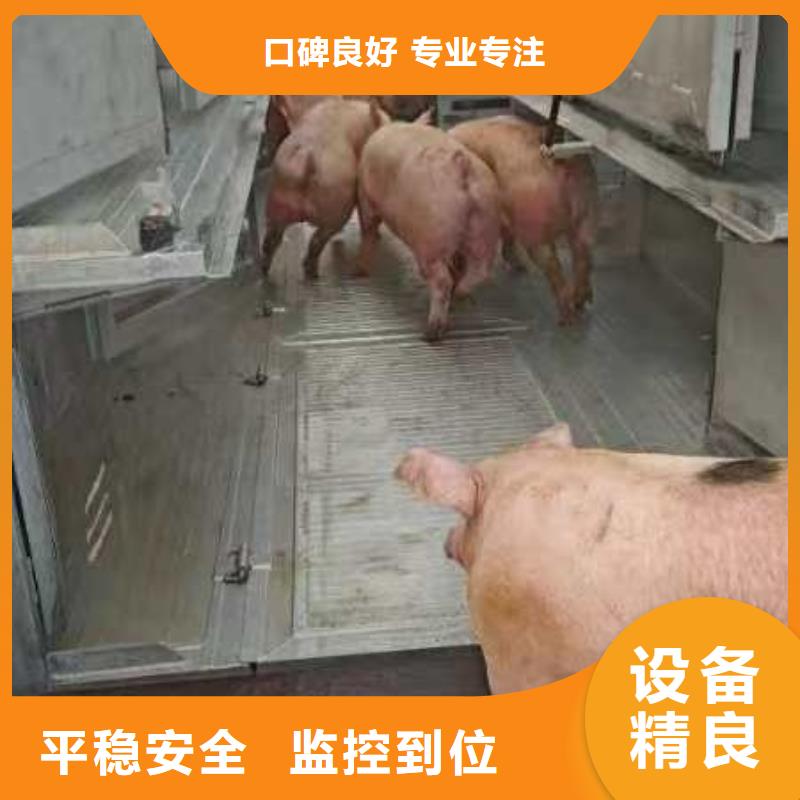 宿迁市泗洪到猪笼车运输贴心服务