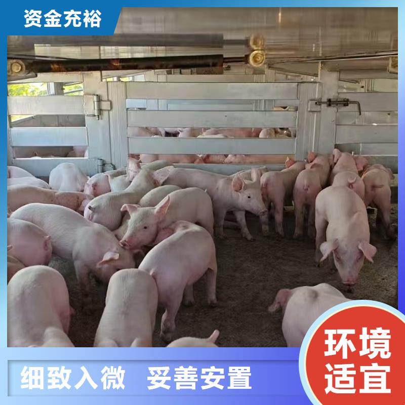 许昌到农牧物流路线优化