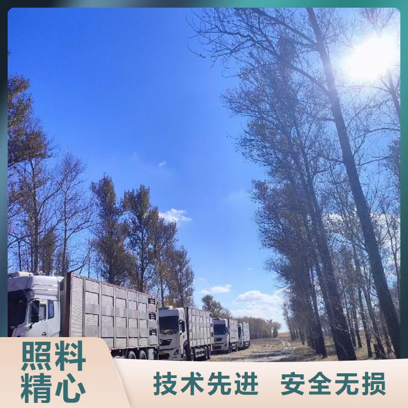 郑州到原料运输专业专注