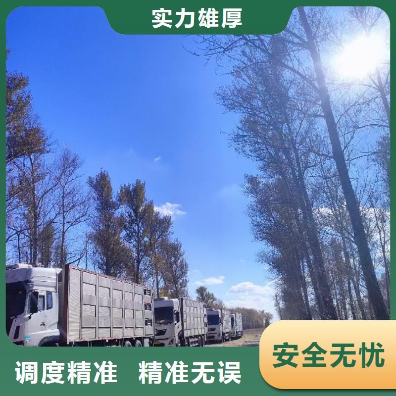 宿州到种猪恒温车运输顺畅