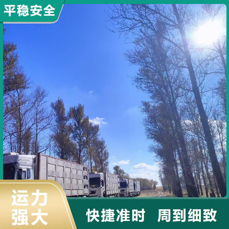 宿迁到猪牛羊运输