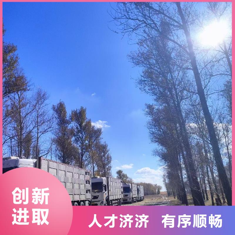 绍兴到猪只运输专用车管理规范