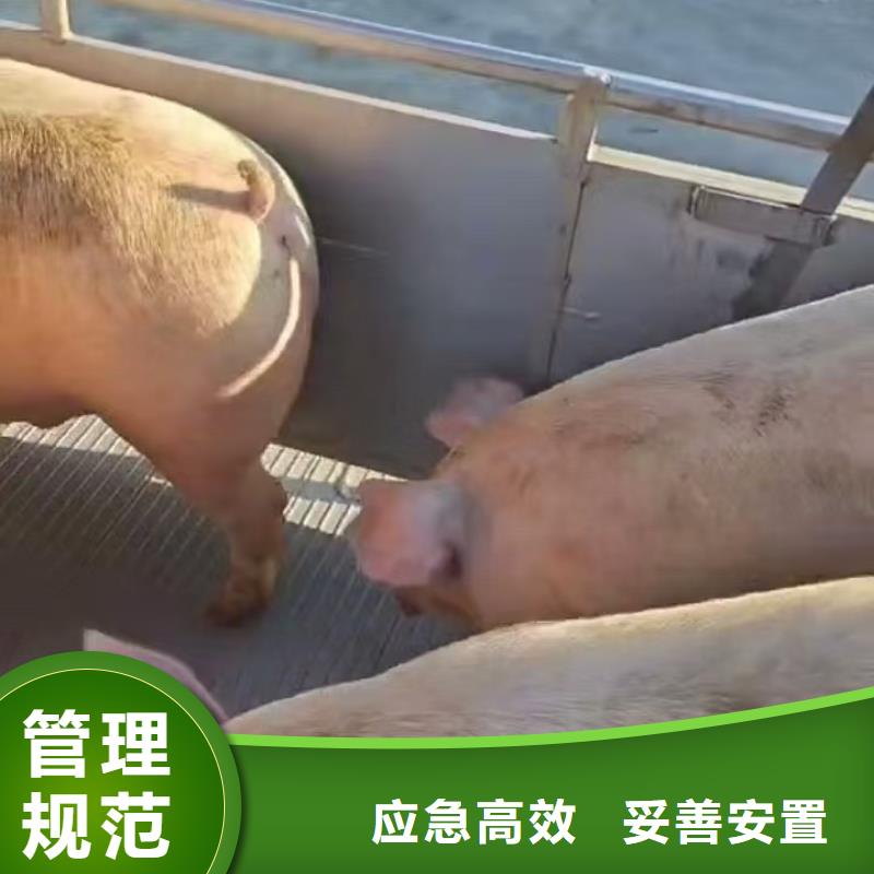 郑州到原料运输专业专注