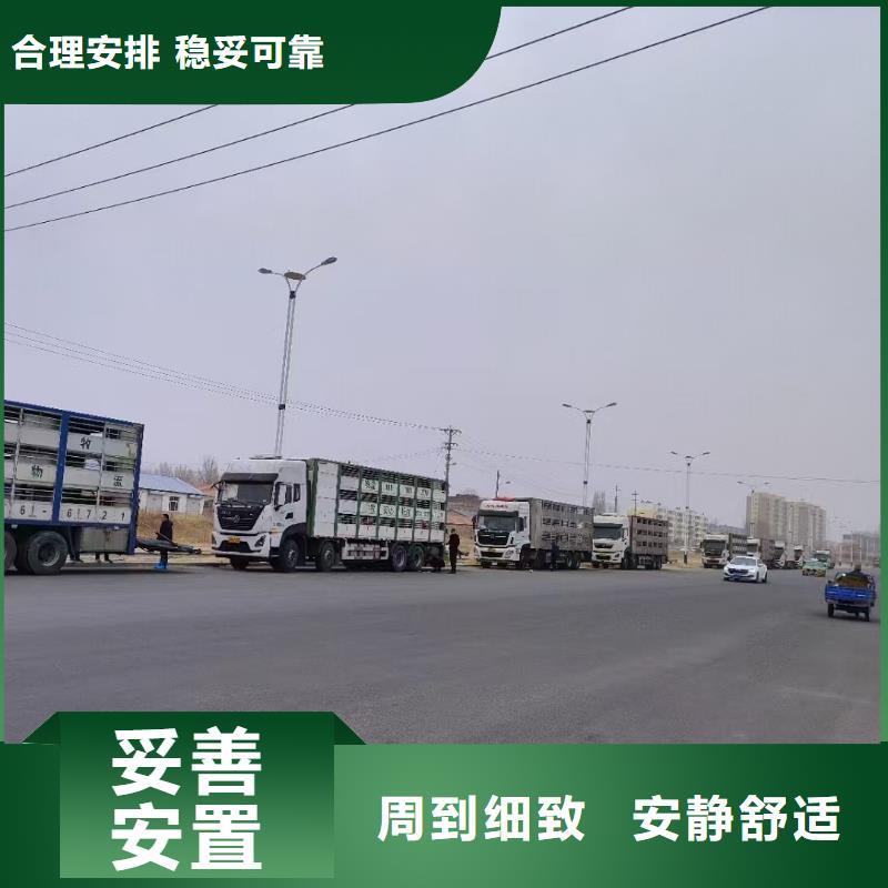 德州到散装料专用车精心照料