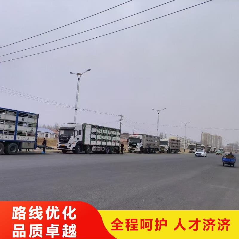 宿迁到农牧运输管理规范