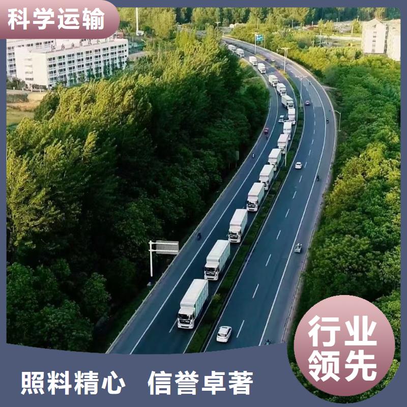 德州到散装料专用车精心照料