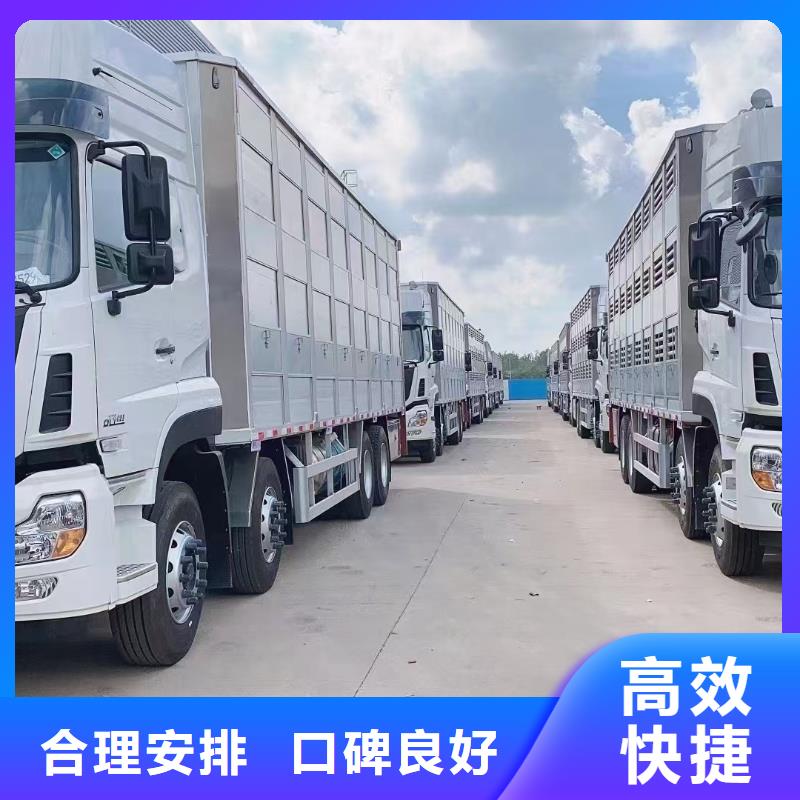 镇江到仔猪恒温车运输团队专业