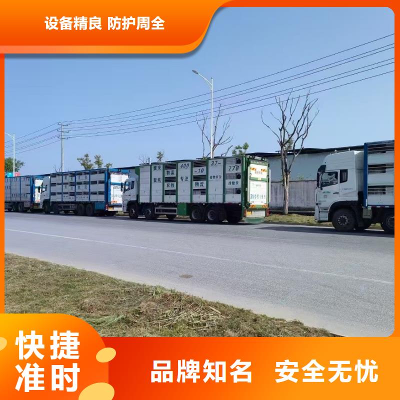绍兴到猪只运输专用车管理规范