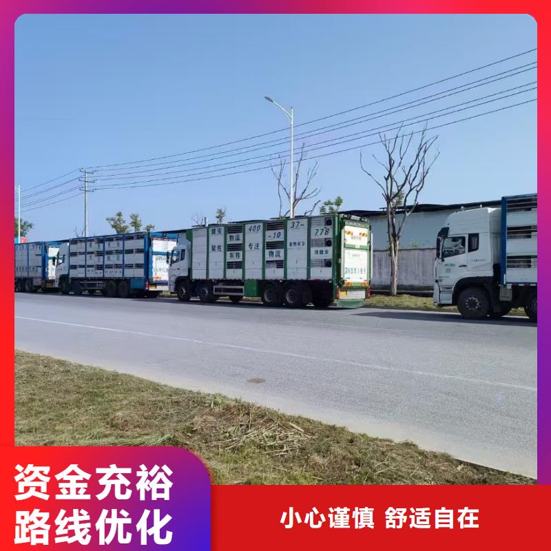 宿迁市到猪笼车运输
