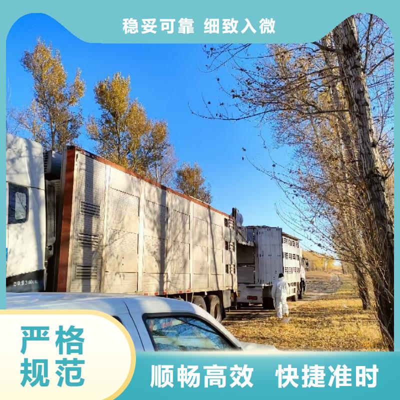 镇江到仔猪恒温车运输团队专业