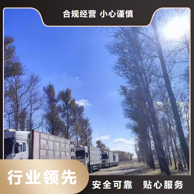 绍兴到猪只运输专用车管理规范