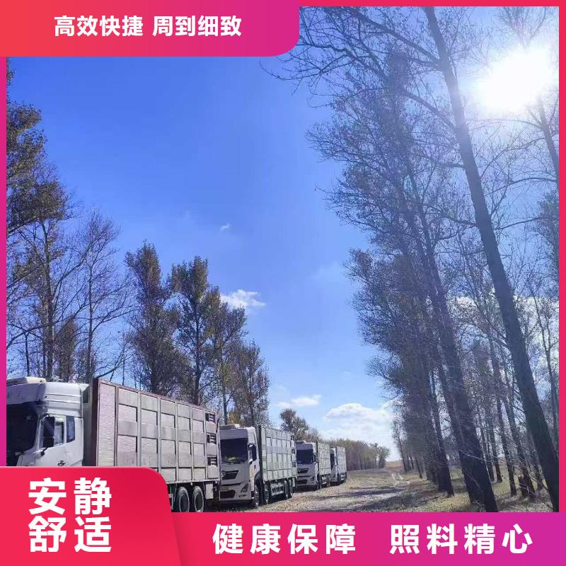 宿迁市泗阳到畜禽物流信誉卓著