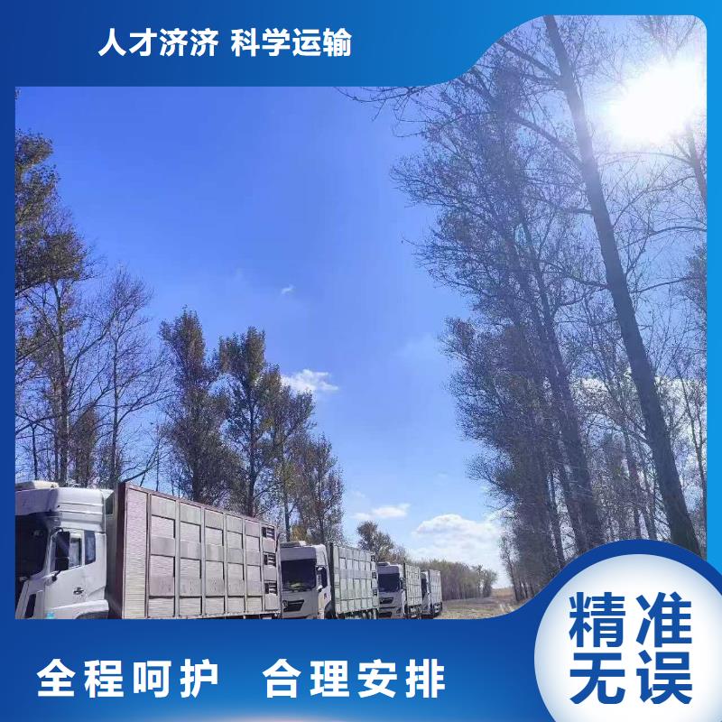 潍坊到种猪空调车运输小心谨慎