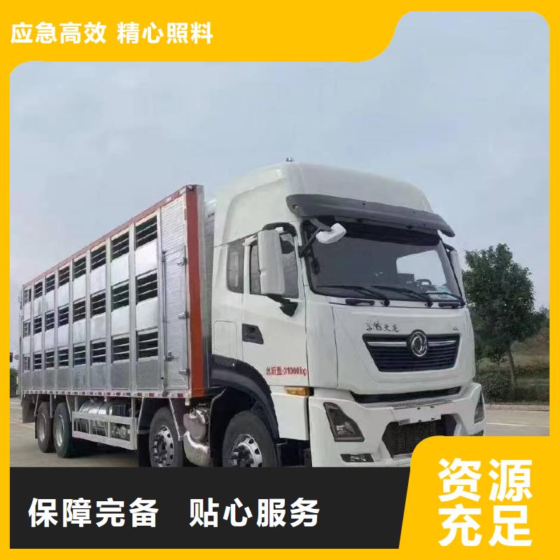 德州到散装料专用车精心照料