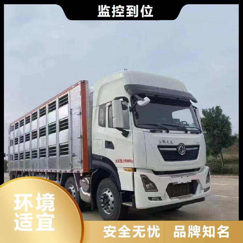 宿迁市泗阳到牛运输专用车整车