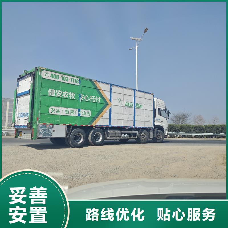 宿迁到生猪运输可靠