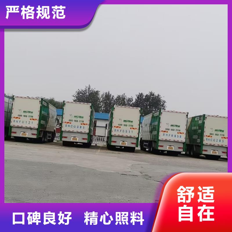 东营到牲畜运输团队专业