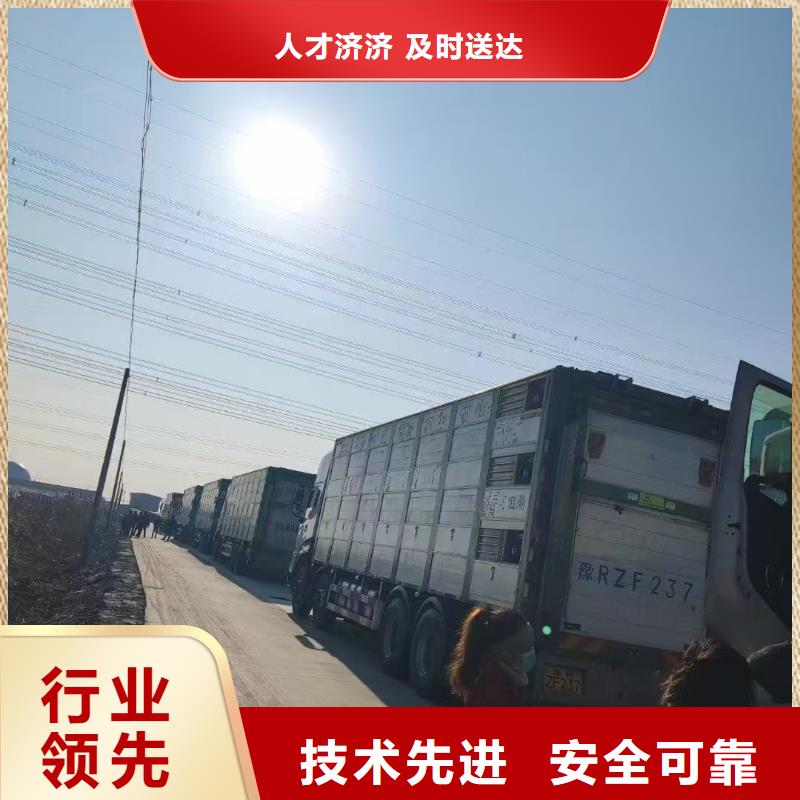 宿迁市泗洪到二育运输放心省心