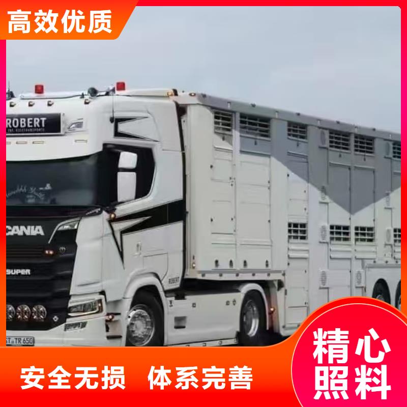 无锡到仔猪恒温车运输防护周全