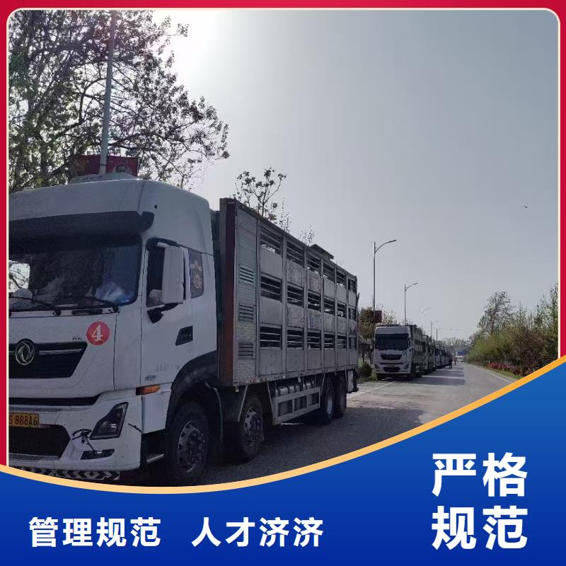 宿迁到牲畜运输品质卓越