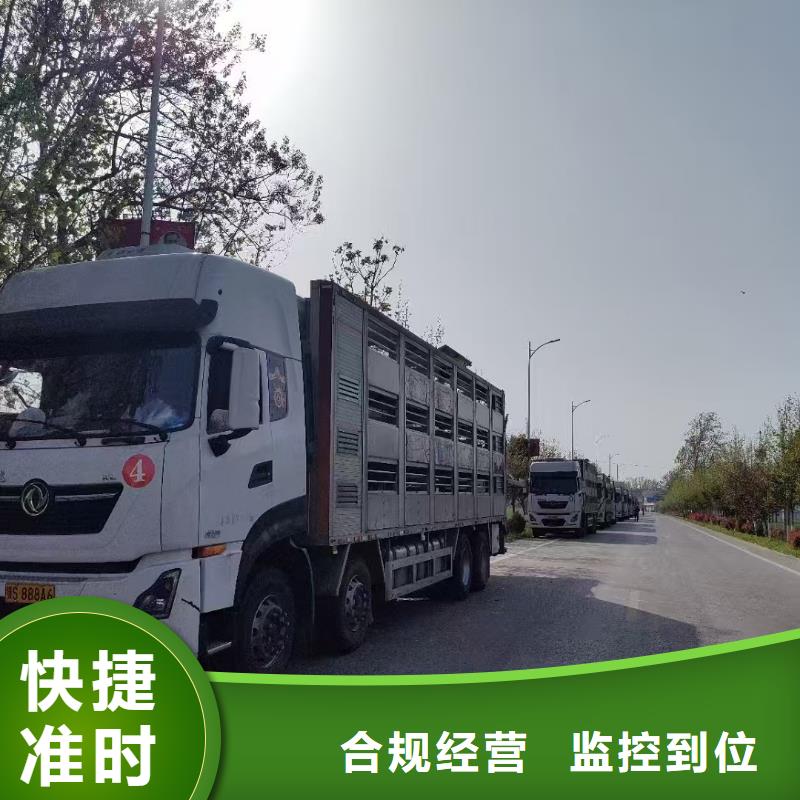 泗洪到生猪空调车运输路线优化