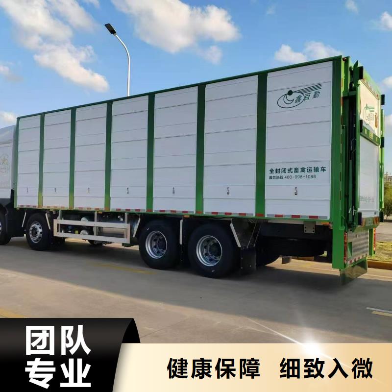 宿迁市泗洪到羊运输专用车顺畅