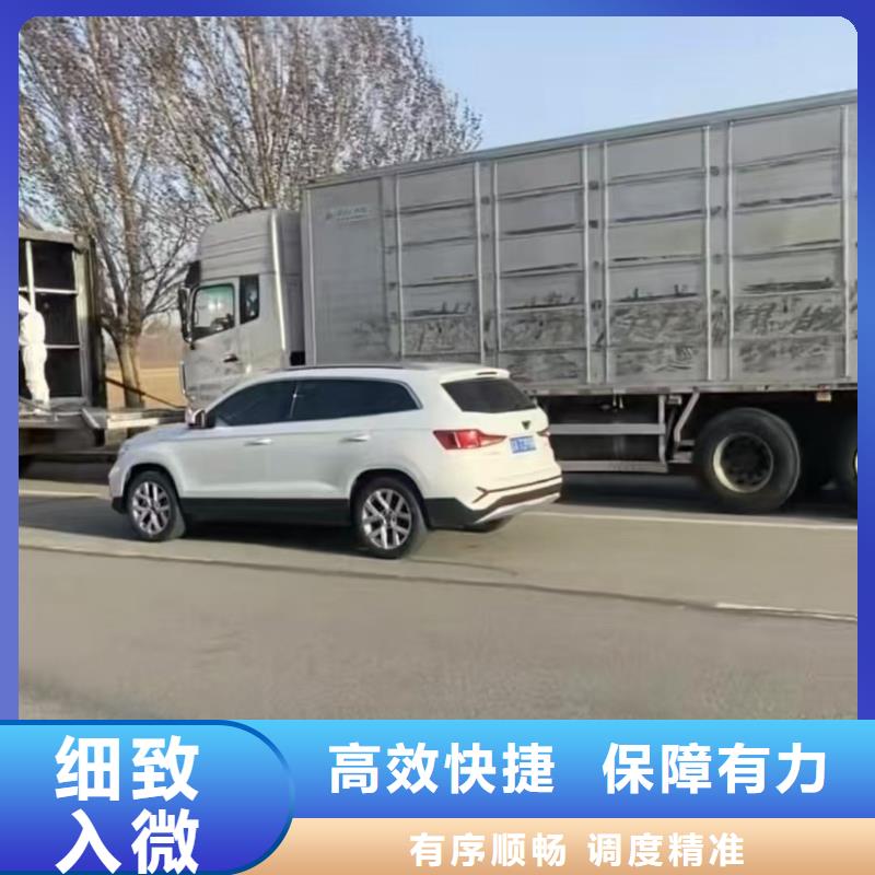 宿迁市泗阳到畜禽物流信誉卓著
