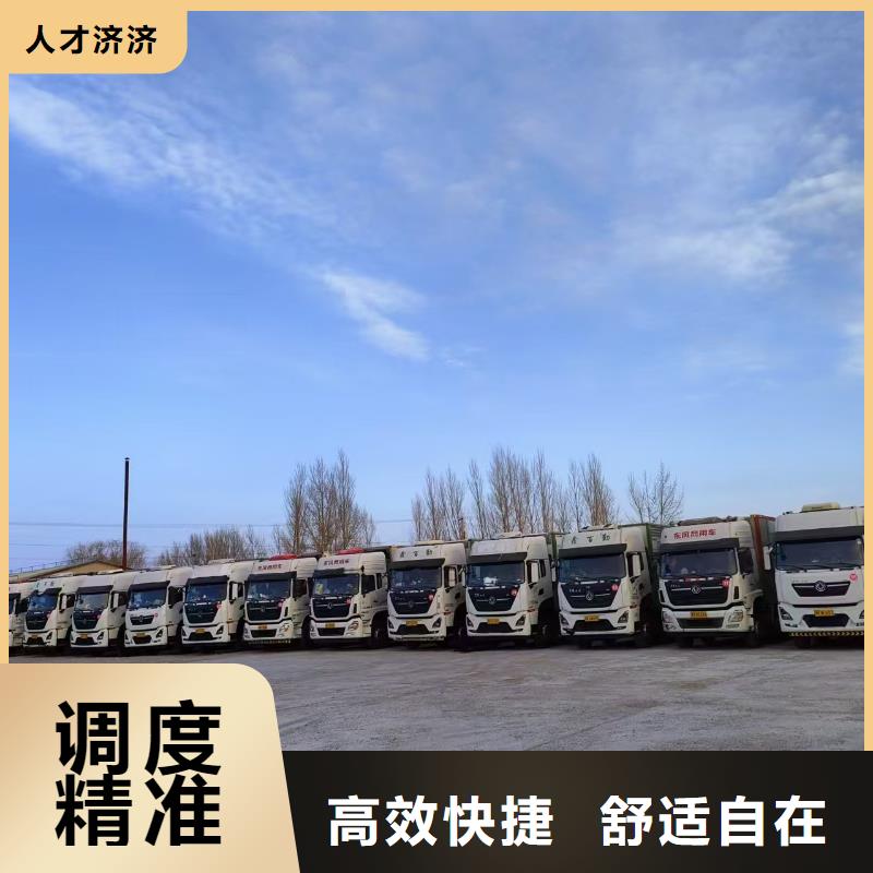 宿迁市到生猪物流天天发车
