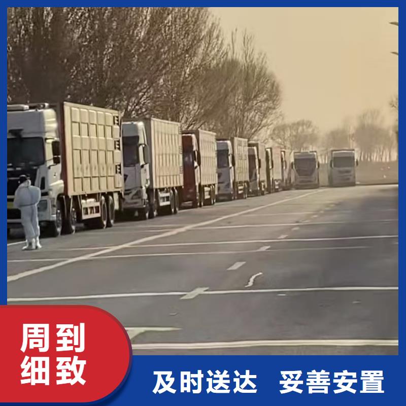 宿迁市沭阳到仔猪恒温车运输保障