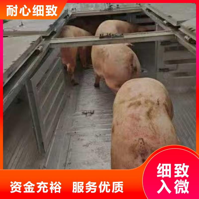 宿迁市到猪笼车运输