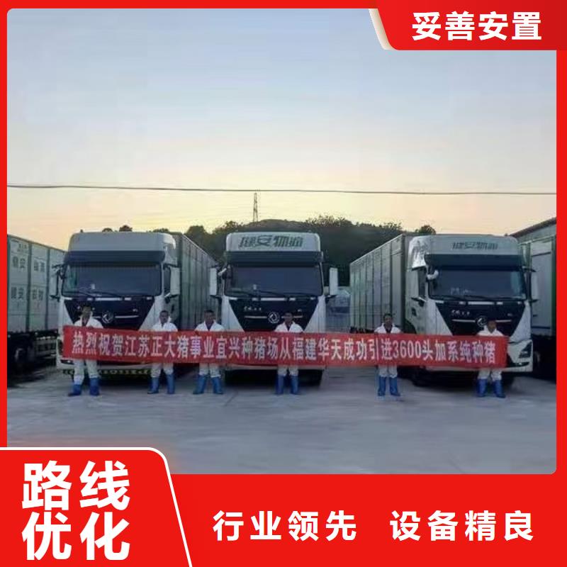 周口到种猪运输环境适宜