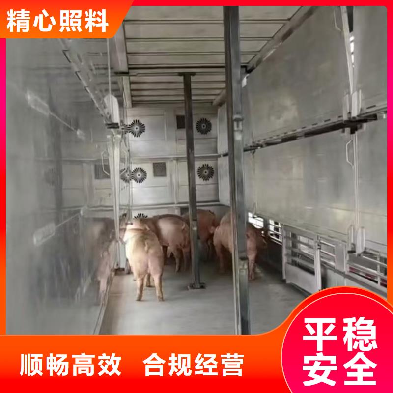 宿迁市到猪笼车运输
