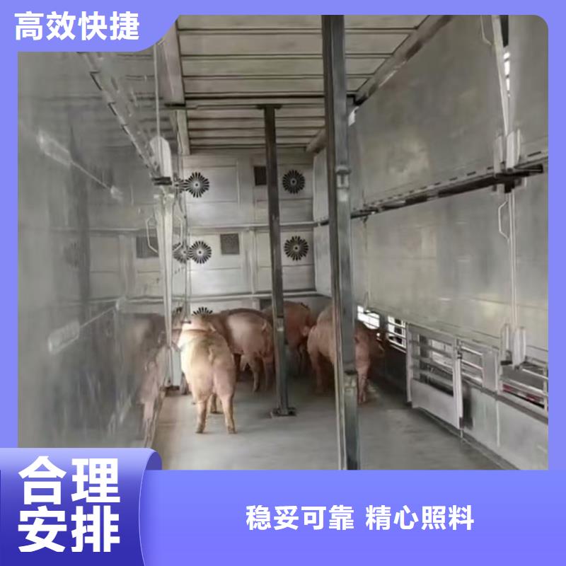 宿迁市泗阳到畜禽物流信誉卓著