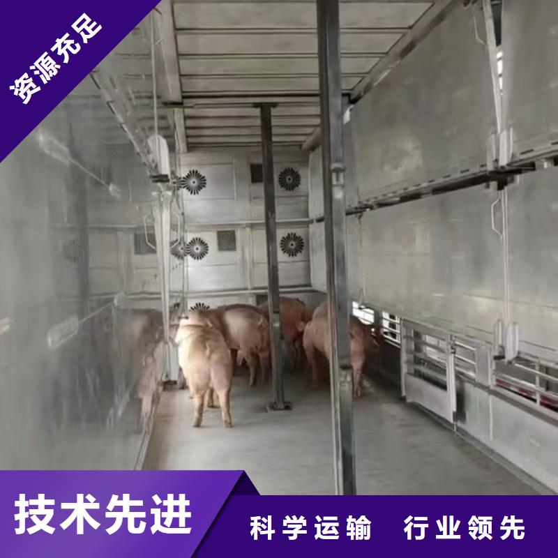 宿迁市泗阳到羊运输应急