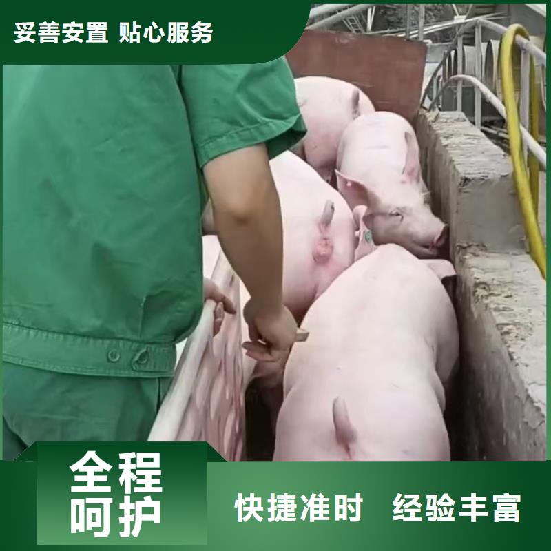 宿迁到散装料专用车老牌物流公司