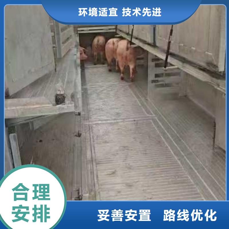 宿迁市到猪笼车运输