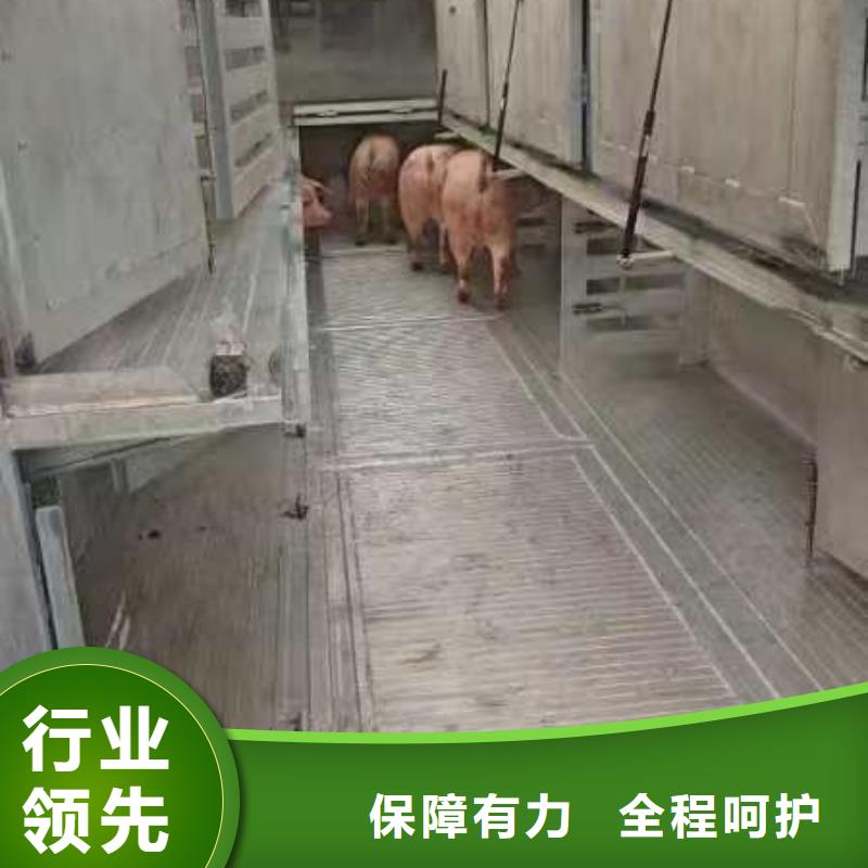 宿迁市沭阳到猪只贸易科学运输