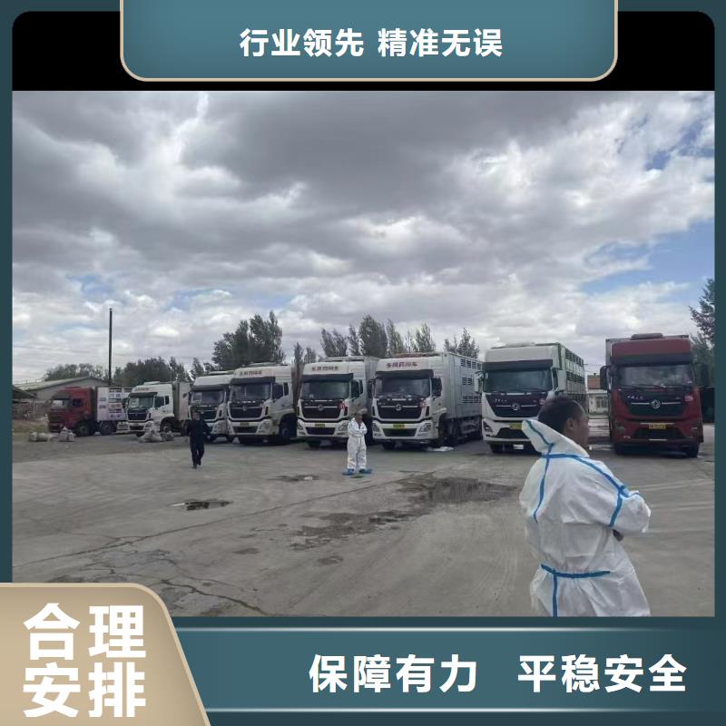 郑州到原料运输专业专注