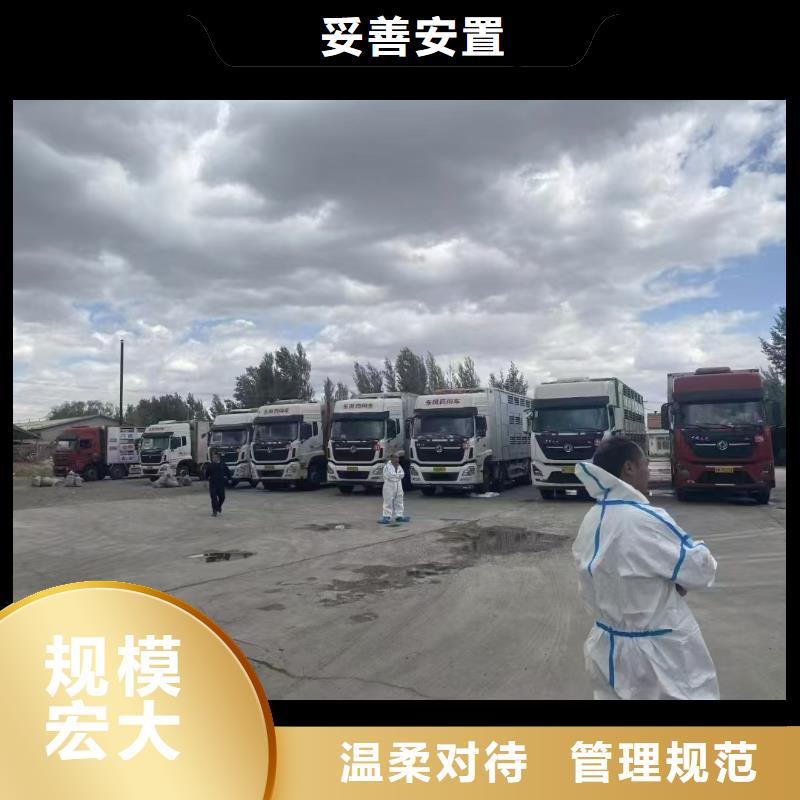 宿迁到农牧物流团队专业