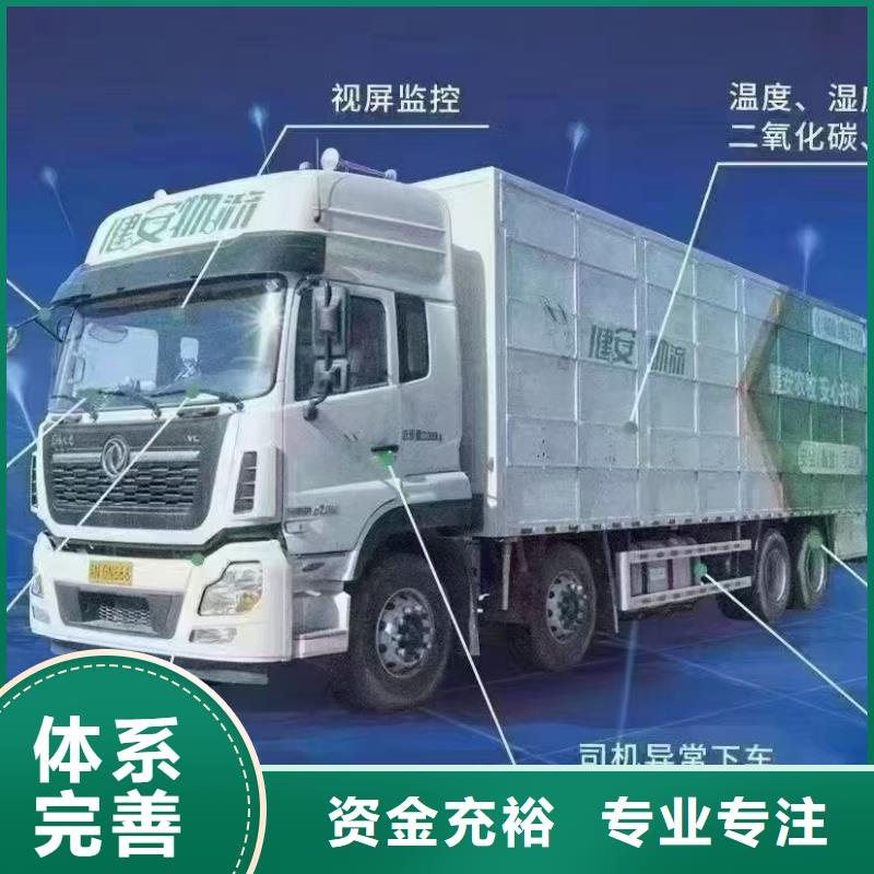 连云港到活禽运输合作广泛