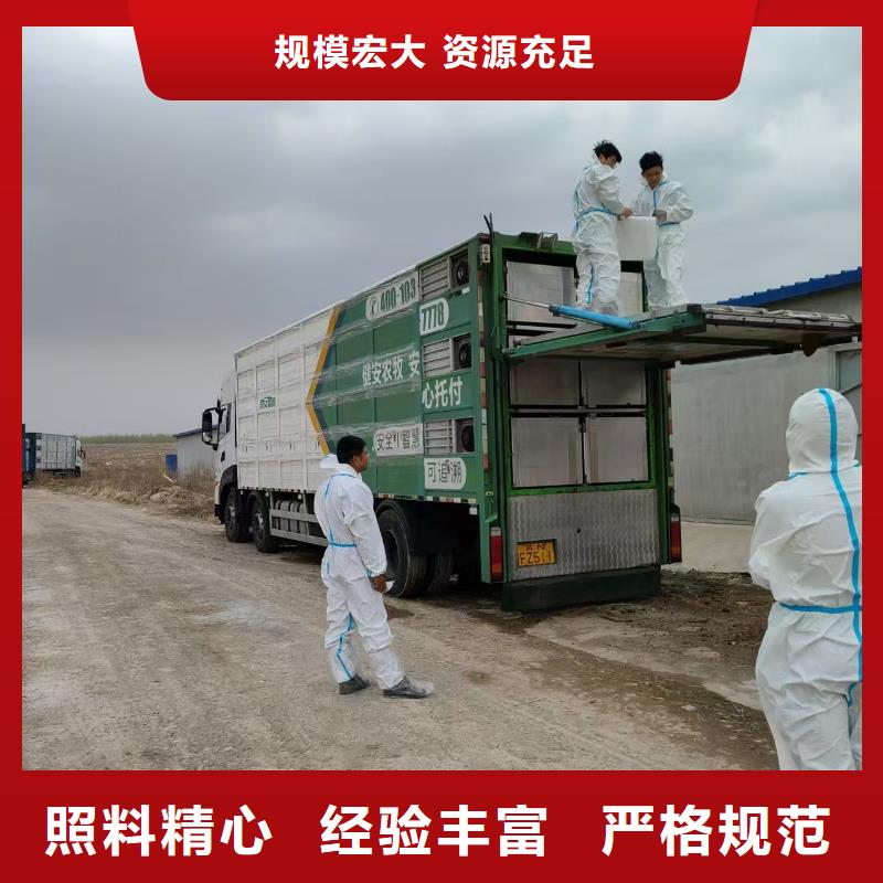 宿迁市泗阳到仔猪恒温车运输品牌知名