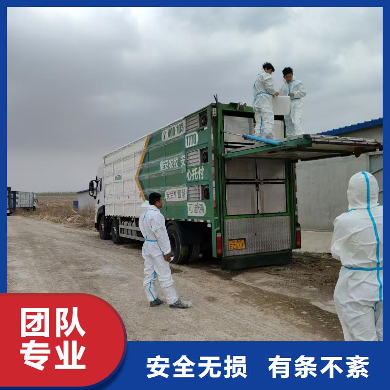 宿迁市泗阳到畜禽物流信誉卓著