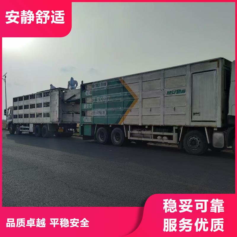 宿迁市泗阳到畜禽物流信誉卓著