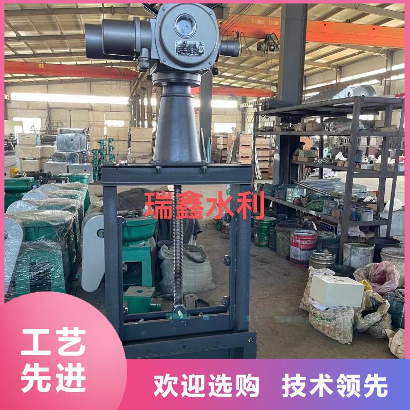 大庆水库铸铁镶铜闸门诚信经营