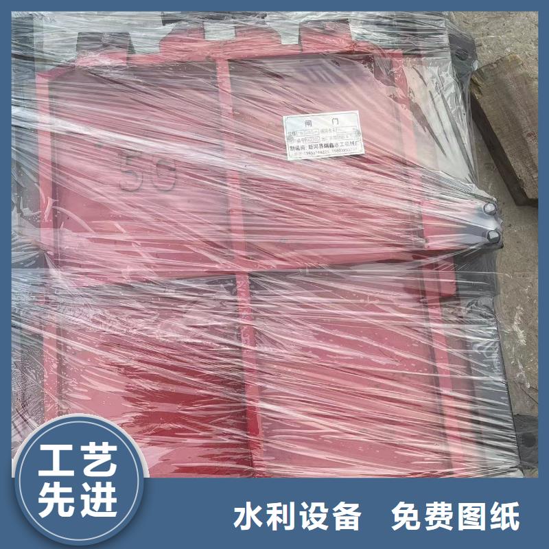 丽水灌区排灌渠铸铁闸门质量为本