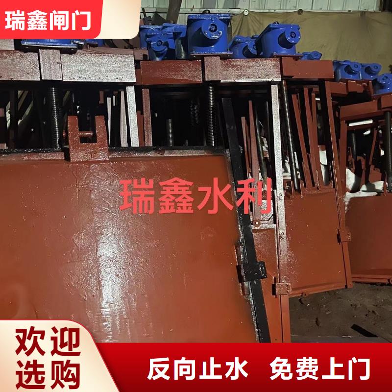 大庆水库铸铁镶铜闸门诚信经营