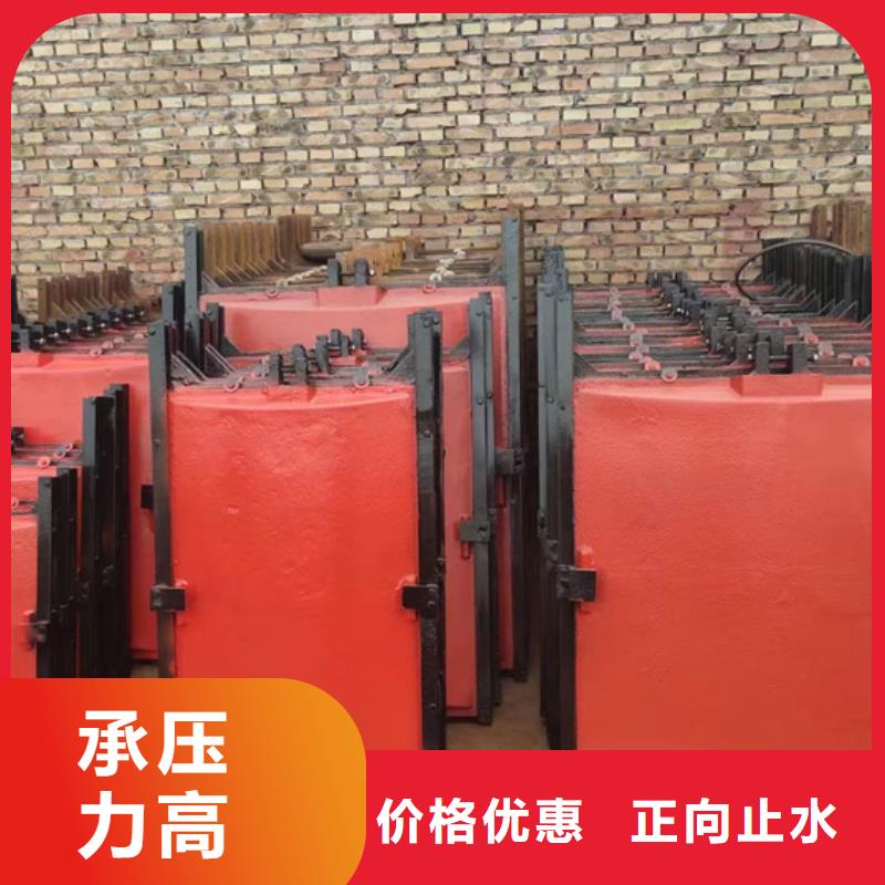 大庆水库铸铁镶铜闸门诚信经营