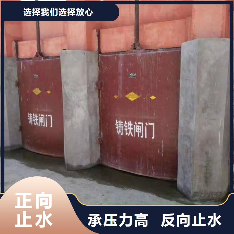 大庆水库铸铁镶铜闸门诚信经营