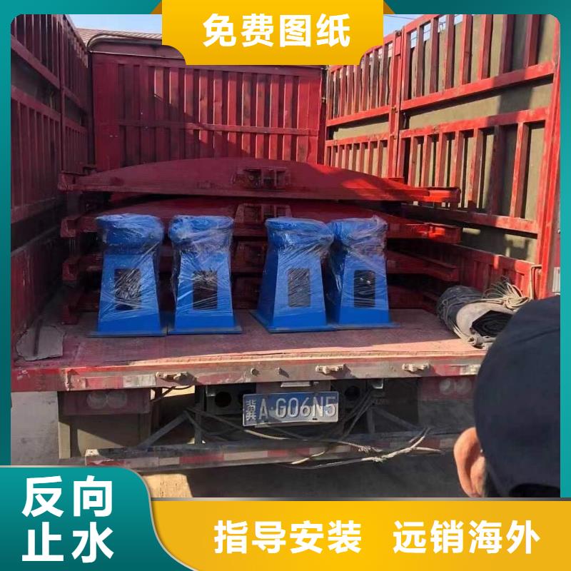 河池水电站管道铸铁闸门实力大厂